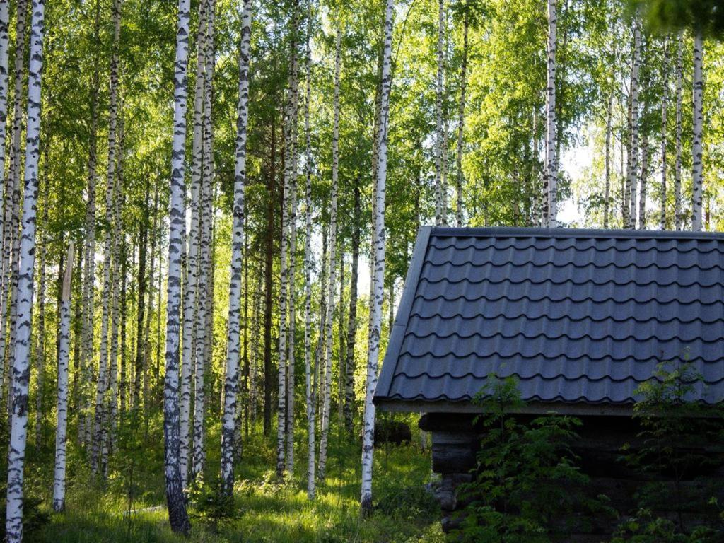Tarina-Aho Bed & Breakfast Vuonislahti Bagian luar foto